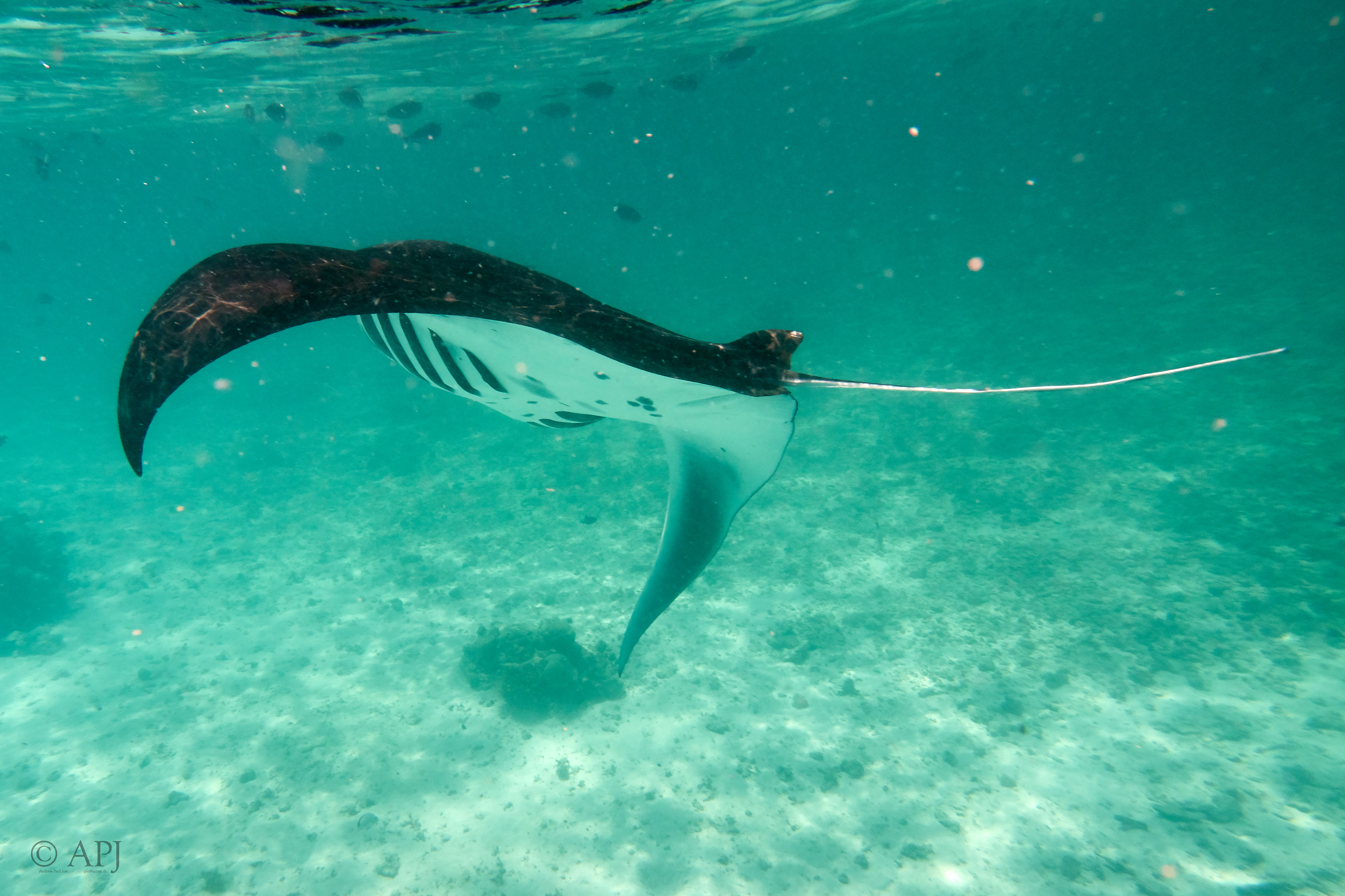 001810 16 08 17  Canon PowerShot G7 X Mark II   Malediven2017